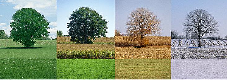 沉浸式体验 《半条命2：第一章》VR MOD发布